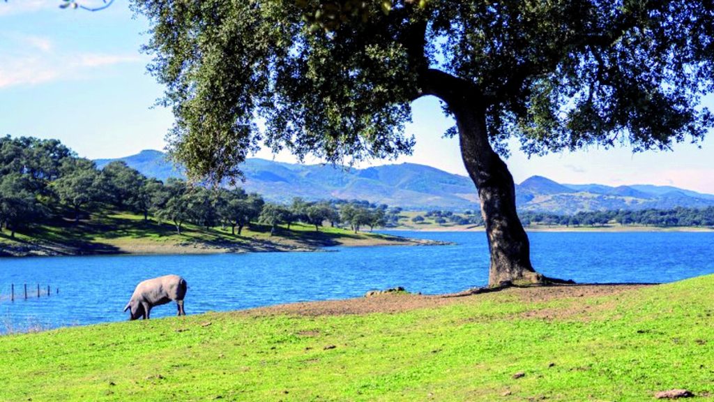 Sierra de Aracena y Picos de Aroche (Huelva)
